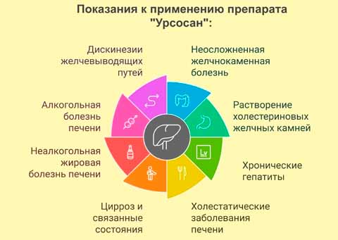 Рисунок и перечень показаний к применению Урсосана