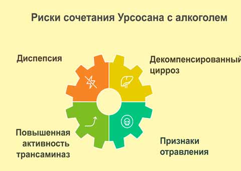 Рисунок и последствия совместного приёма алкоголя и Урсосана