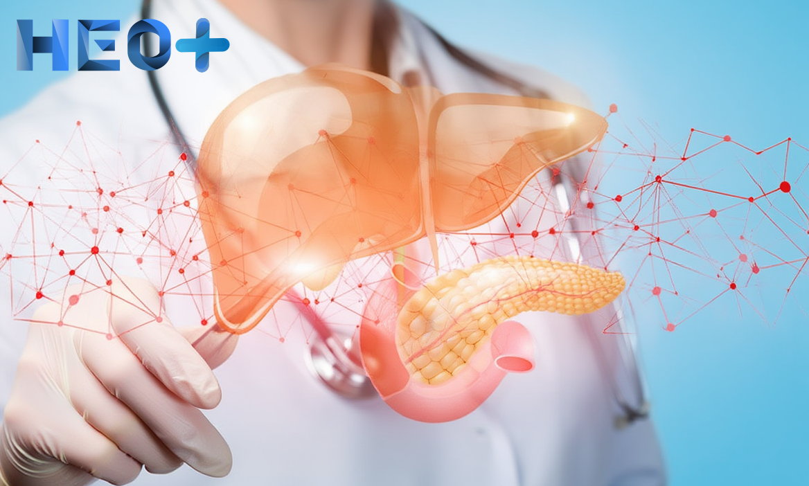 Образ поджелудочной железы на руках у врача