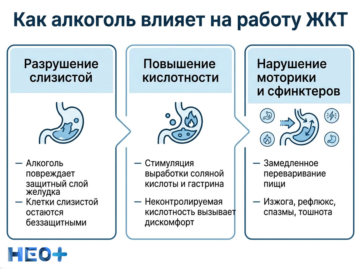 Как алкоголь влияет на работу желудочно-кишечного тракта инфографика
