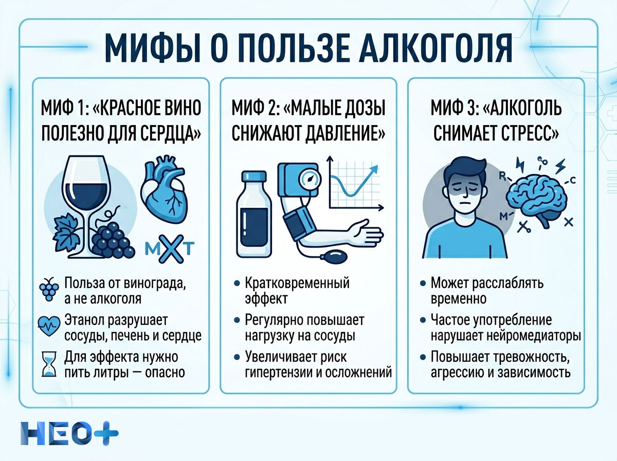Мифы о пользе алкоголя инфографика