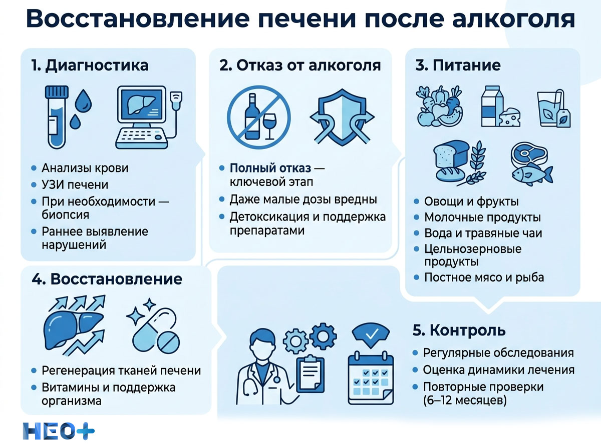 Способы восстановления печени после алкогольной интоксикации инфографика